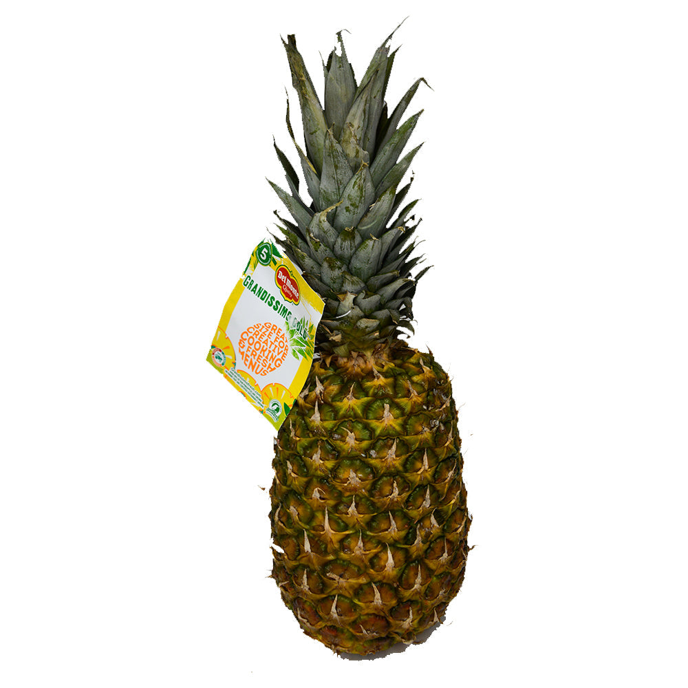 Piña del monte