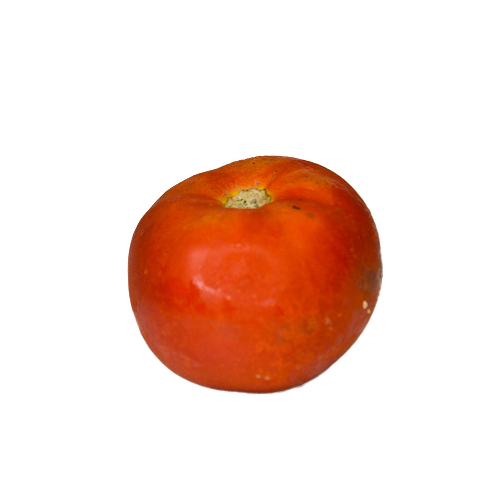 Tomate Liso